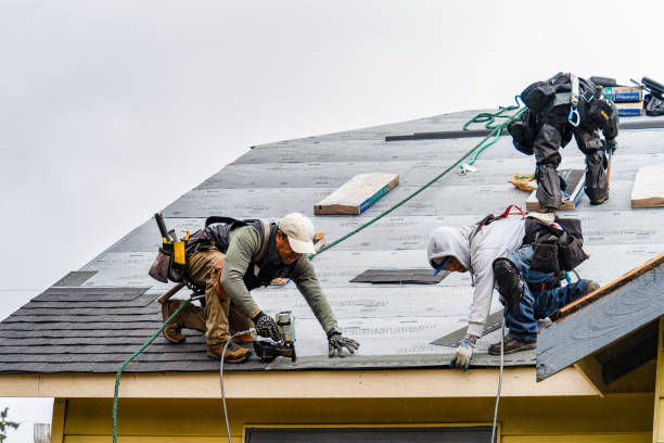 Professional Gutter Installation technician working in New London, TX